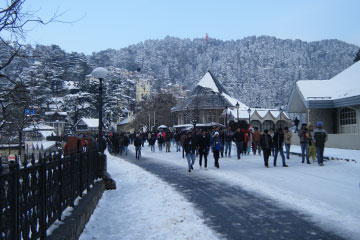 Chandigarh Shimla Manali Chandigarh 4 Nights Tour